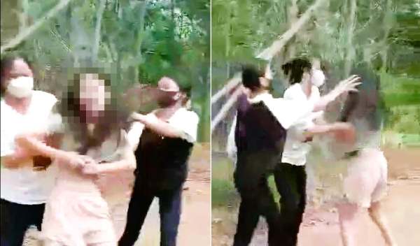 Nghệ An: Nữ sinh lớp 9 bị nhóm bạn hành hung trong rừng keo