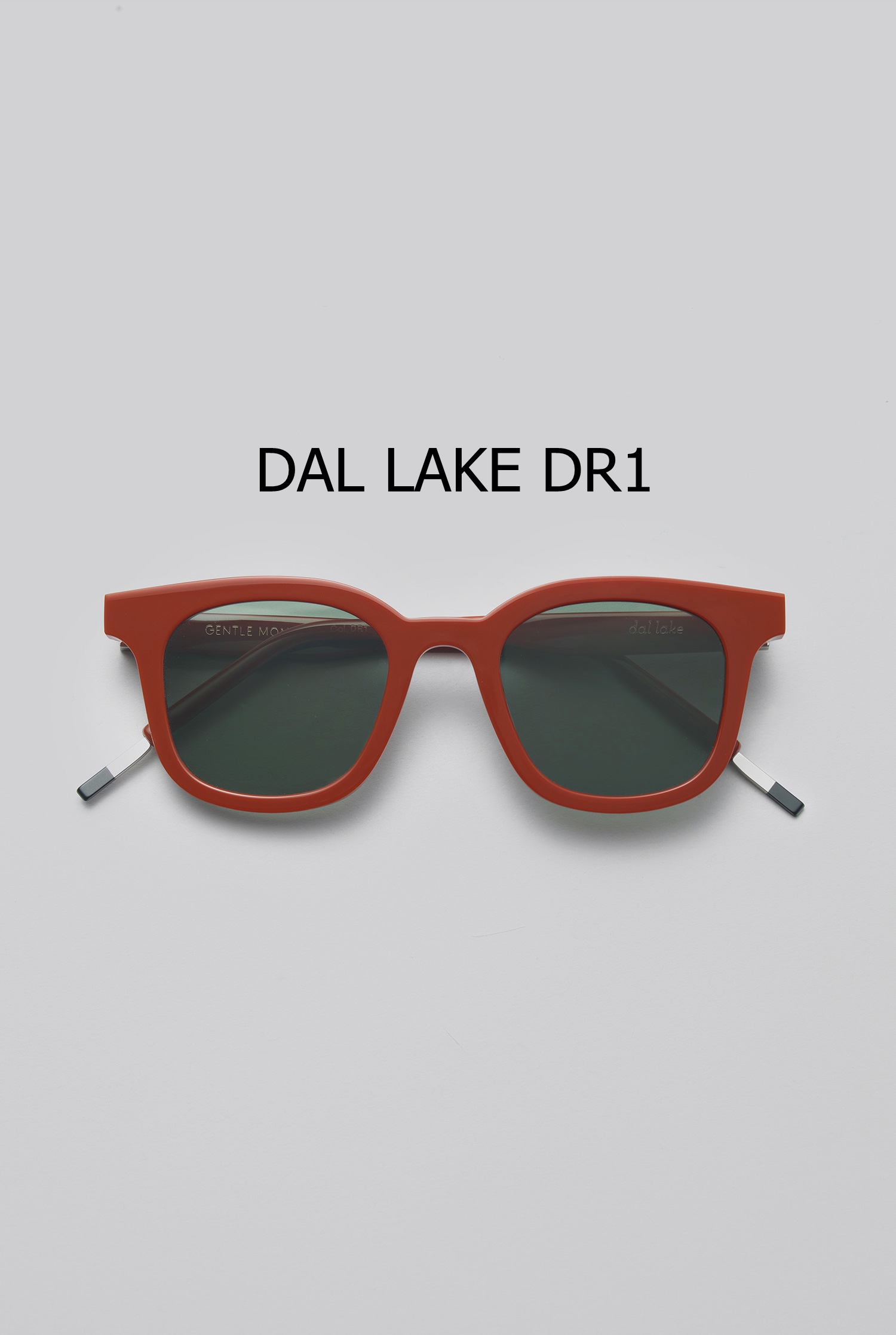 DAL LAKE DR1 