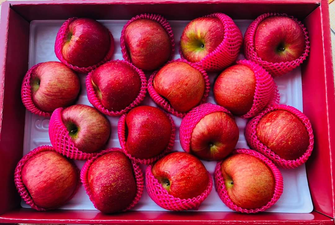 Táo  Hàn Quốc -Trái táo tươi ( Malus Domestica) -  nhập khẩu chính hãng dạng hộp 5 kg( 16 trái)