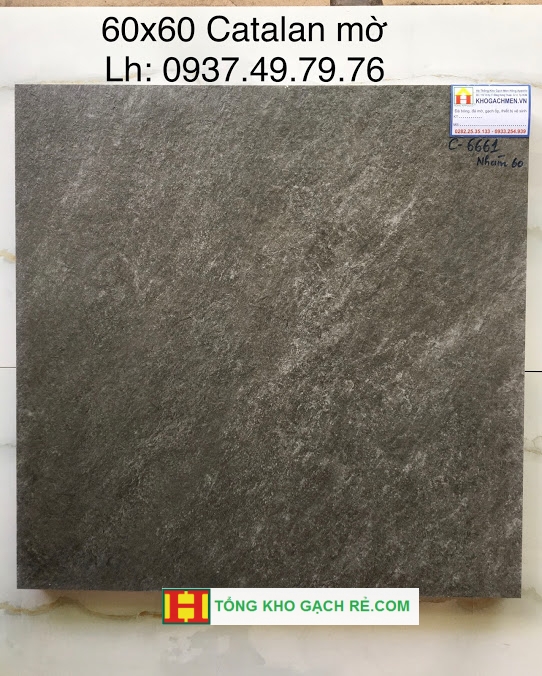 Gạch Granite 60x60 TKG6661