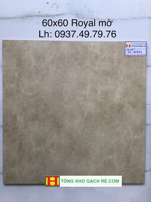 Gạch Granite 60x60 TKG66853