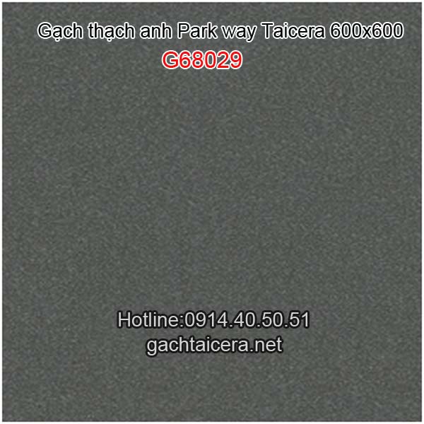 Gạch Taicera granite 60x60 G68029