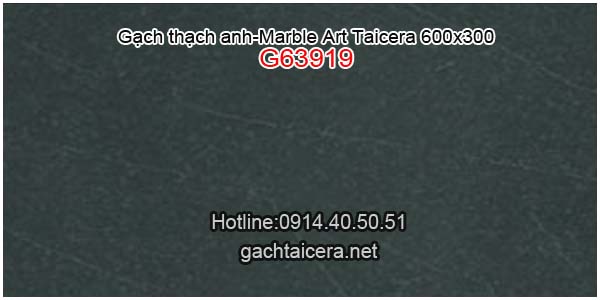 Gạch Taicera sale 30x60 G63919