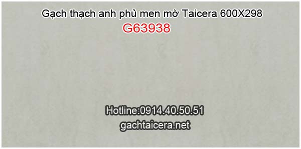 Gạch Taicera sale 30x60 G63938