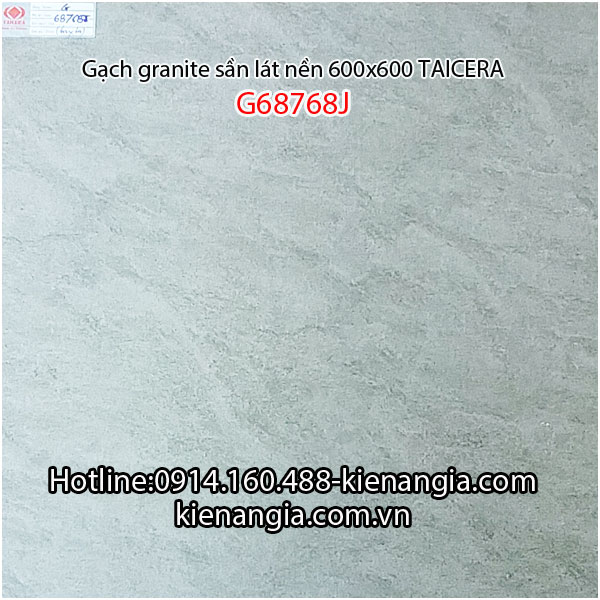 Gạch granite Taicera sần 60x60 G68768J