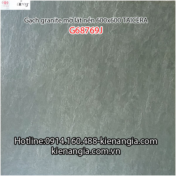 Gạch granite Taicera sần 60x60 G68769J