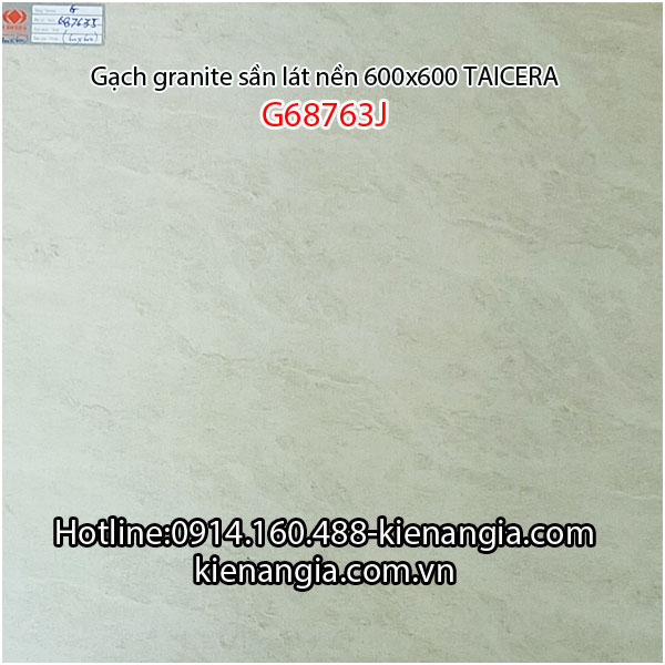 Gạch granite Taicera sần 60x60 G68763J