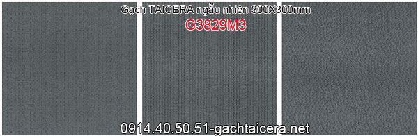 Gạch TAICERA 30x30 Taicera-G3829M3