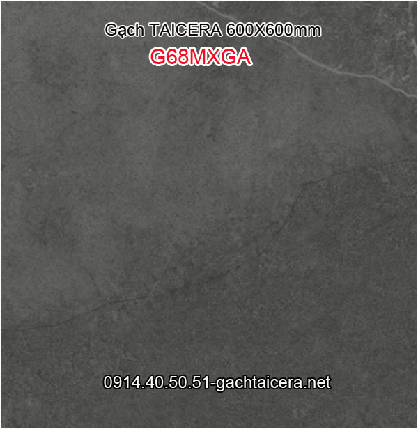 Gạch TAICERA 60x60 siêu đẹp,siêu bền Taicera-G68MXGA