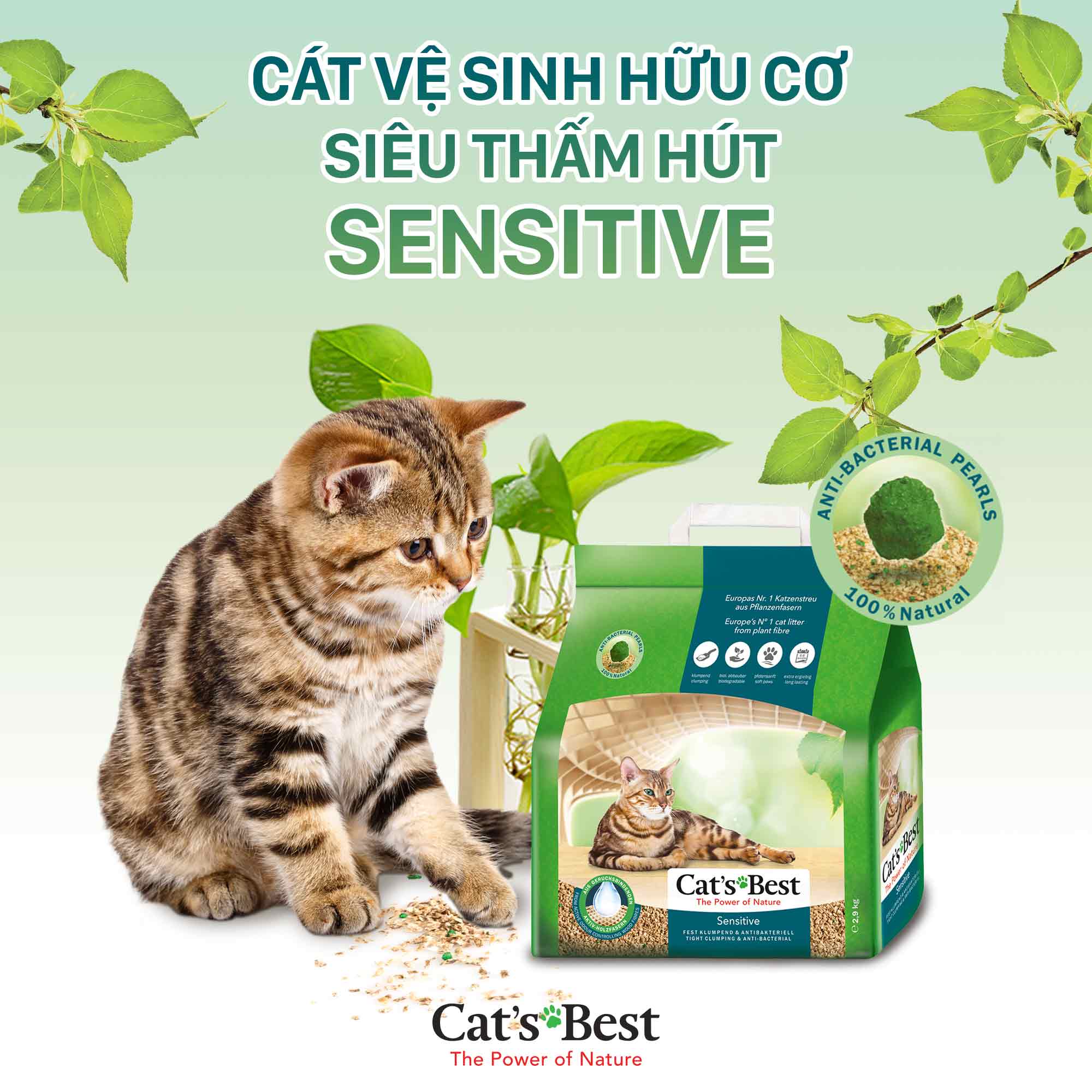 Cát vệ sinh hữu cơ cho mèo Cat's Best Sensitive 2.9kg