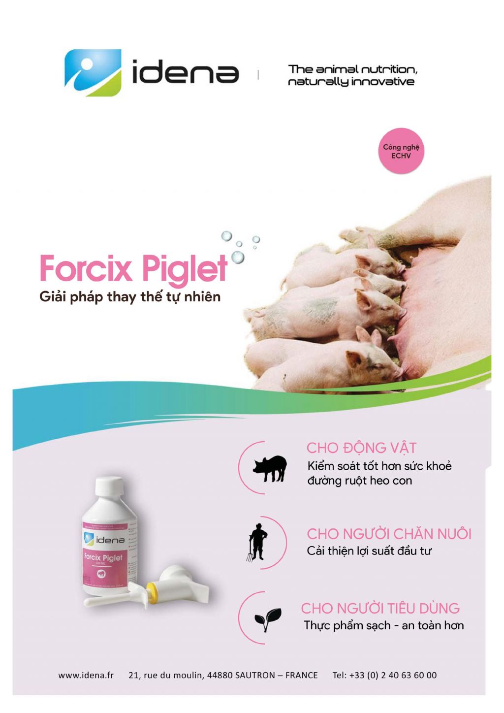 FORCIX PIGLET (hỗn dịch bơm cho heo con)