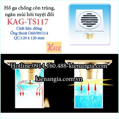 Ho-ga-chong-hoi-con-trung-tuyet-doi-100-D60-KAG-TS117-4 
