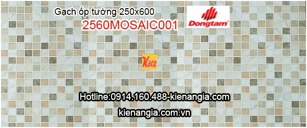 Gach-Dong-Tam-op-tuong-25x60-2560MOSAIC002