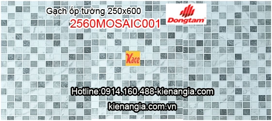 Gach-Dong-Tam-op-tuong-25x60-2560MOSAIC001