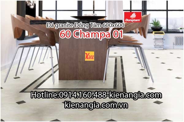 Da-granite-mo-Dong-Tam-60Champa01-phoi-canh