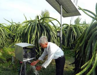Hệ thống tưới nhỏ giọt bằng năng lượng mặt trời ở Tiền Giang
