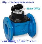 Đồng hồ đo nước mặt bích ITRON ACTARIS WOLTEX DN 500 mm, 20" inchs