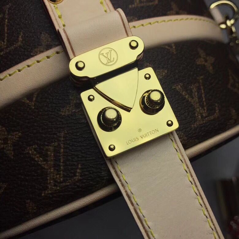Túi xách Louis Vuitton siêu cấp VIP - TXLV249
