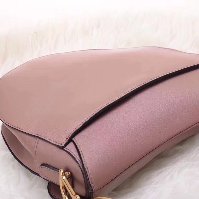 Túi xách Dior yên ngựa ( Saddle ) siêu cấp VIP - TXDO059