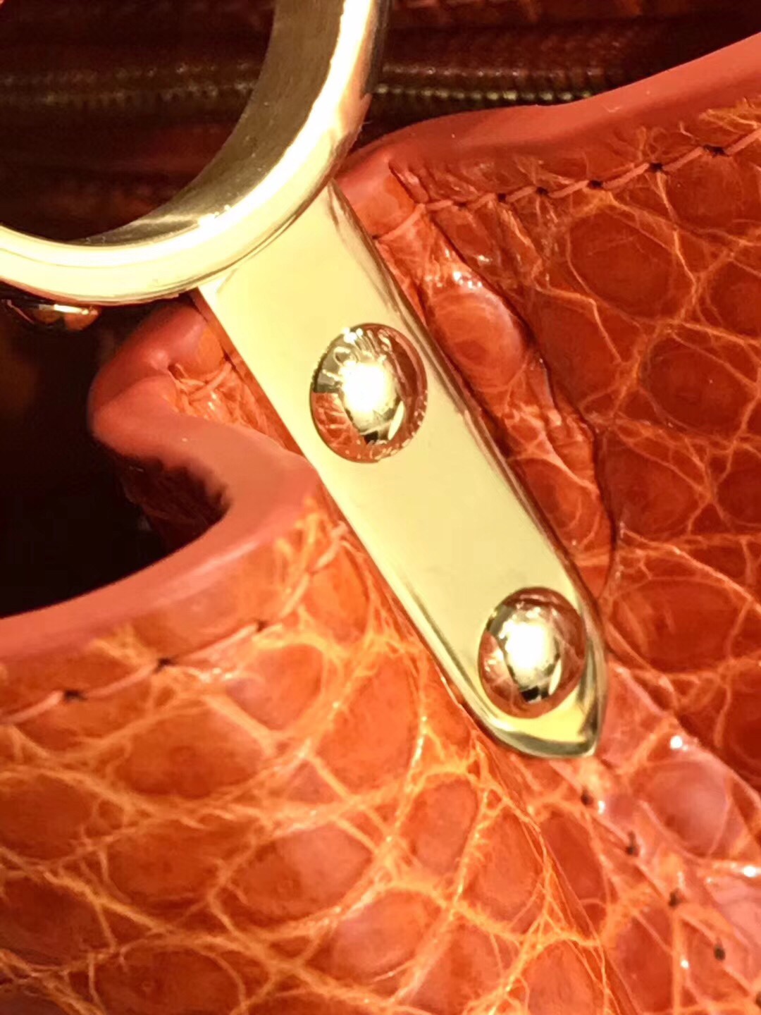 Túi xách Louis Vuitton Capucines da cá sấu siêu cấp VIP - TXLV289