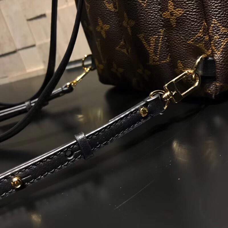 Túi xách Louis Vuitton siêu cấp VIP -TXLV307