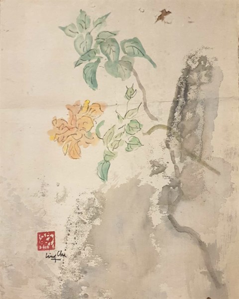 Hoa trên đá_ HS Linh Chi_MN1934