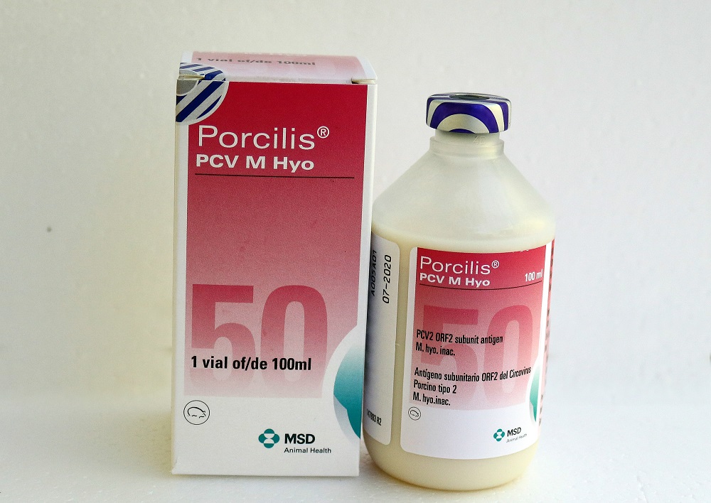 PORCILIS PCV M HYO (25 liều/50 liều)