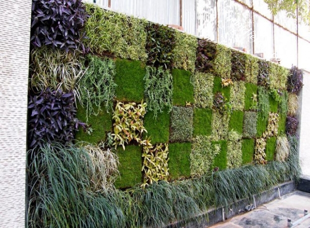 Thiết kế công trình vườn tường cây xanh thẳng đứng