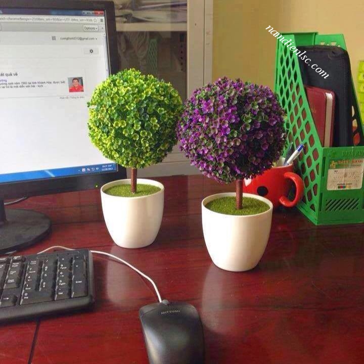 Tư vấn lựa chọn cây xanh để bàn làm việc