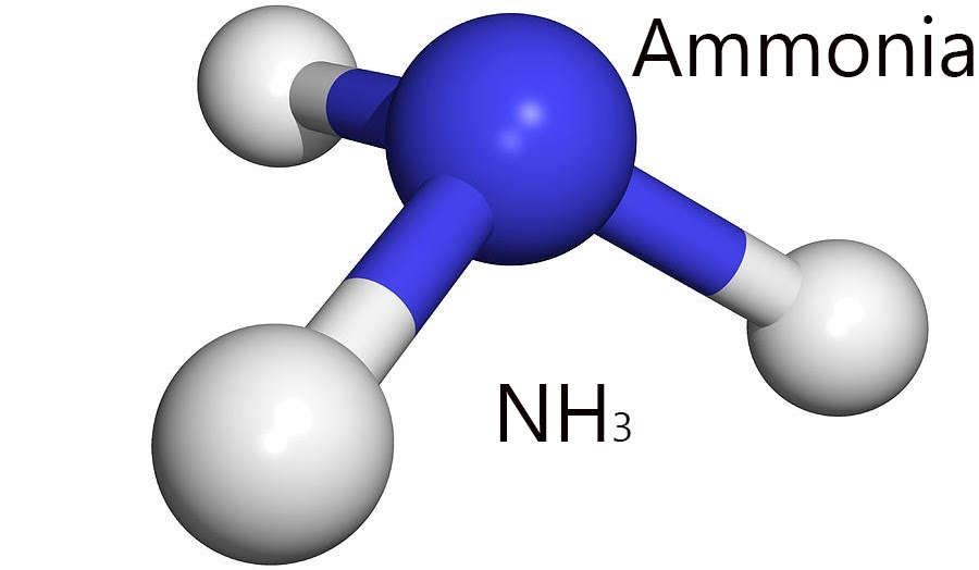Amoniac là gì? Amoniac có ở đâu?