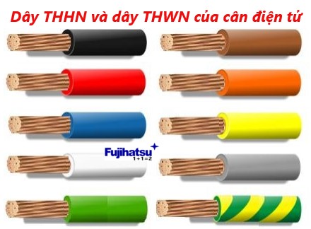Dây THHN và dây THWN của cân điện tử - Cân điện tử fujihatsu