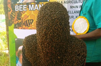 Đầu bao phủ đầy ong trong thời gian lâu nhất - Theo sách kỷ lục Guinness