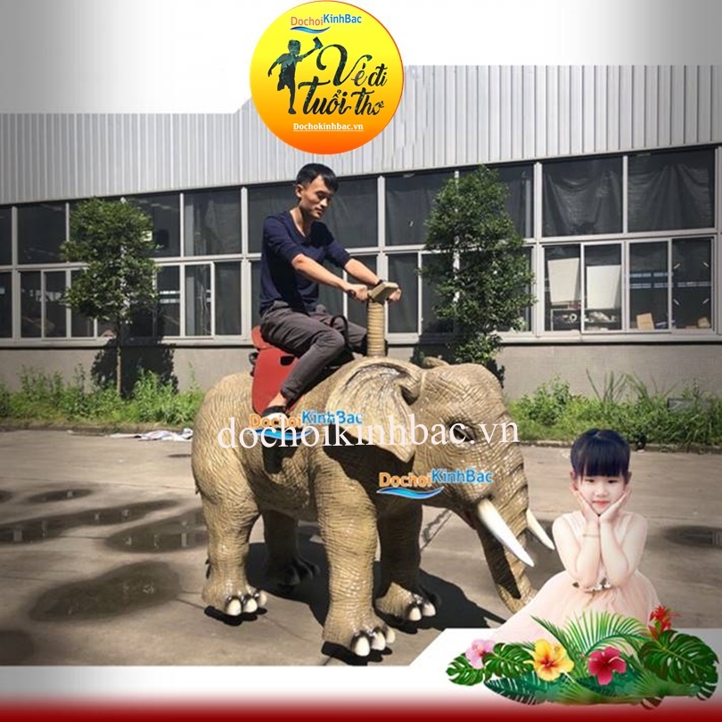 Đồ chơi Kinh Bắc cung cấp lái xe khủng long tại Đội Cấn, Ba Đình, Hà Nội