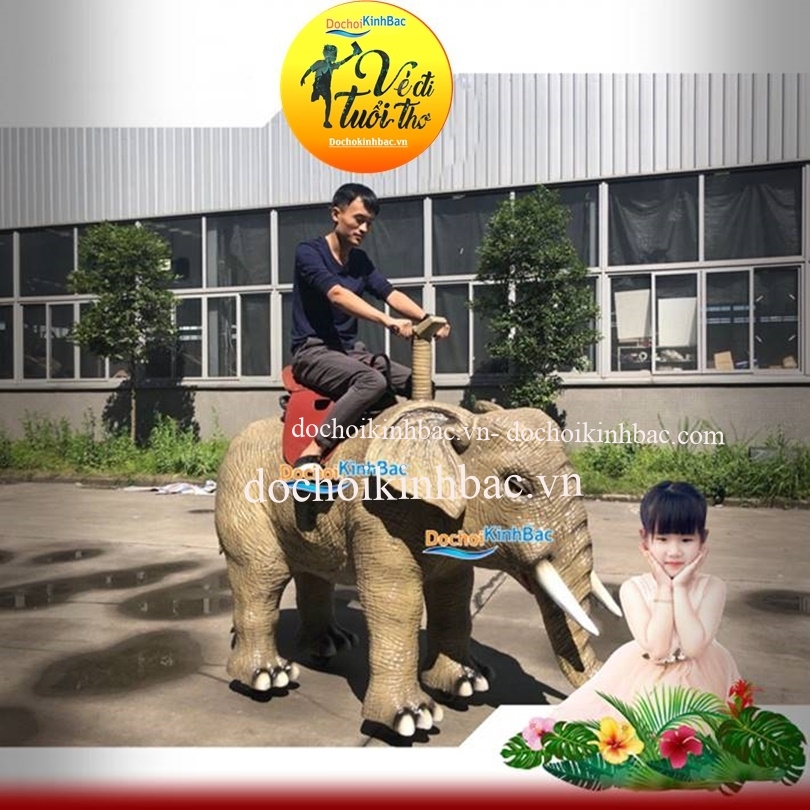 Đồ chơi Kinh Bắc cung cấp khủng long lái xe tại Trực Hưng, Trực Ninh, Nam Định