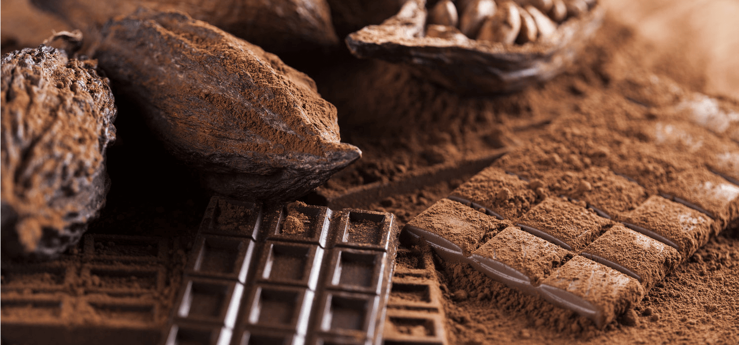 MAROU với niềm tin vào mạng lưới nông trại trồng cacao