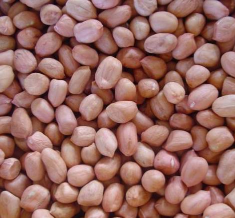 Peanut kernel