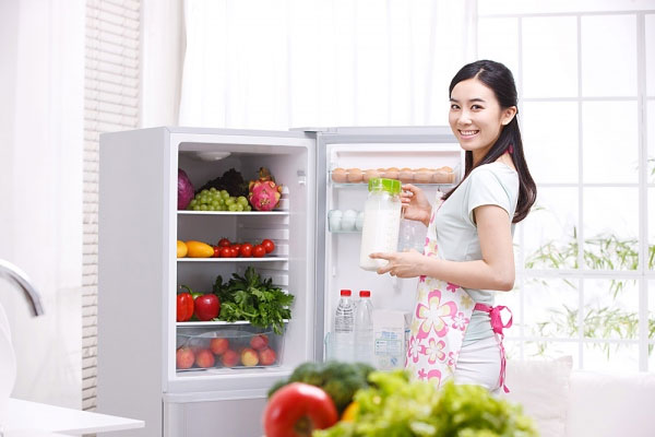 Gợi ý cách chọn tủ lạnh cho gia đình nhỏ