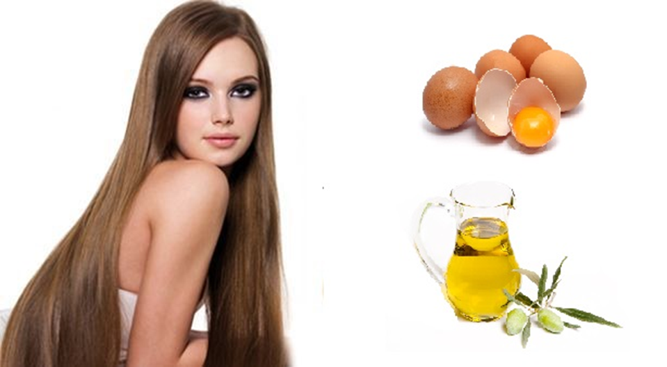Cách ủ tóc bằng dầu oliu và trứng gà cho mỗi loại tóc