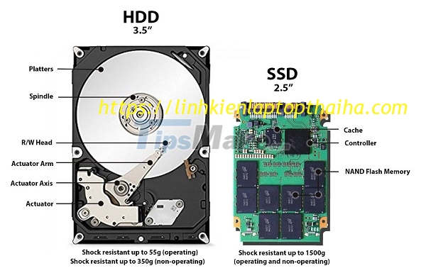 Có nên nâng cấp ổ SSD cho laptop của bạn?
