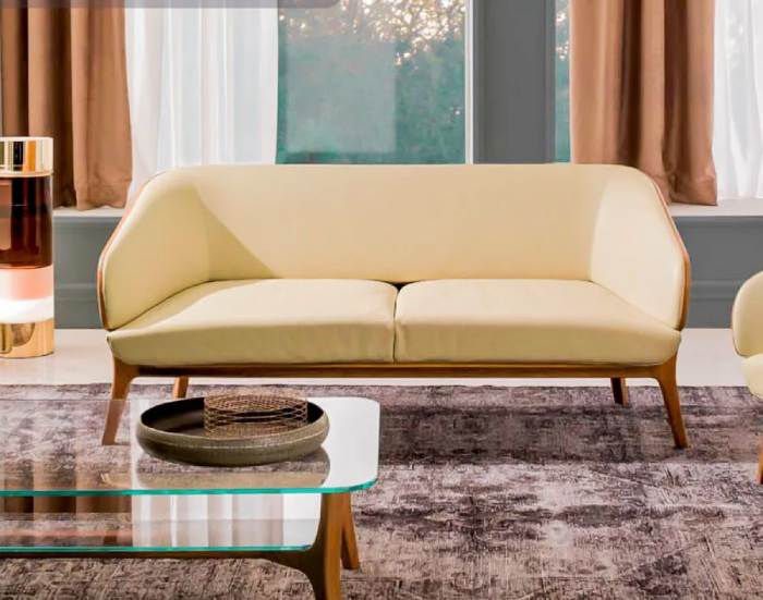 Sofa đơn giản hiện đại thiết kế 2 chỗ ngồi