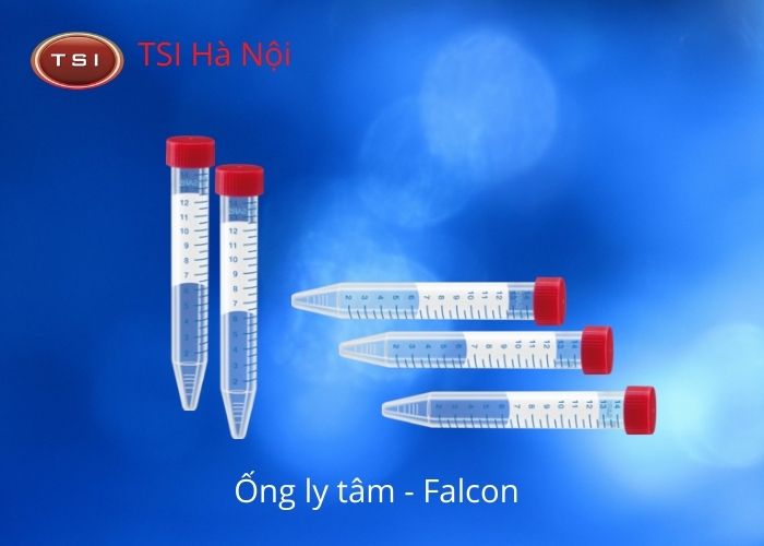 ong-ly-tam-falcon