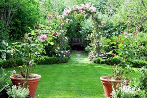 Những bước đơn giản để có được khu vườn như ý