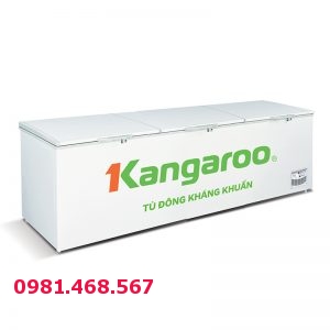 Tủ đông kháng khuẩn Kangaroo KG1400A1