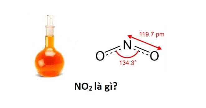 Loại hợp chất nào thường đi kèm với khí NO2 để tạo thành một hỗn hợp?