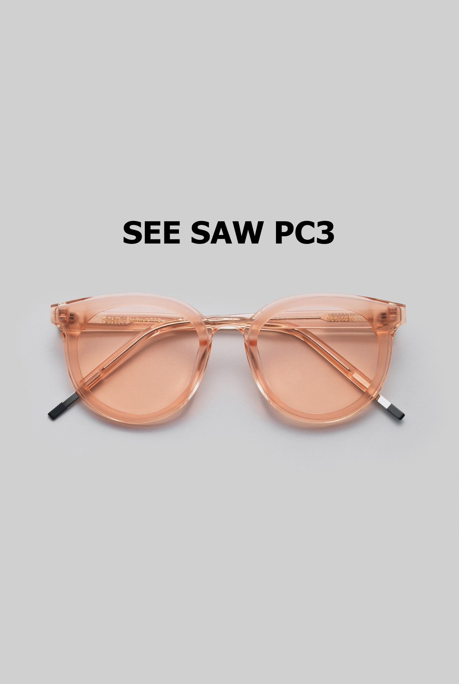 SEE SAW PC3