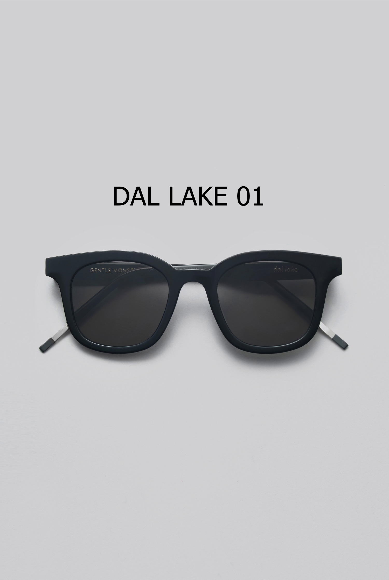DAL LAKE 01