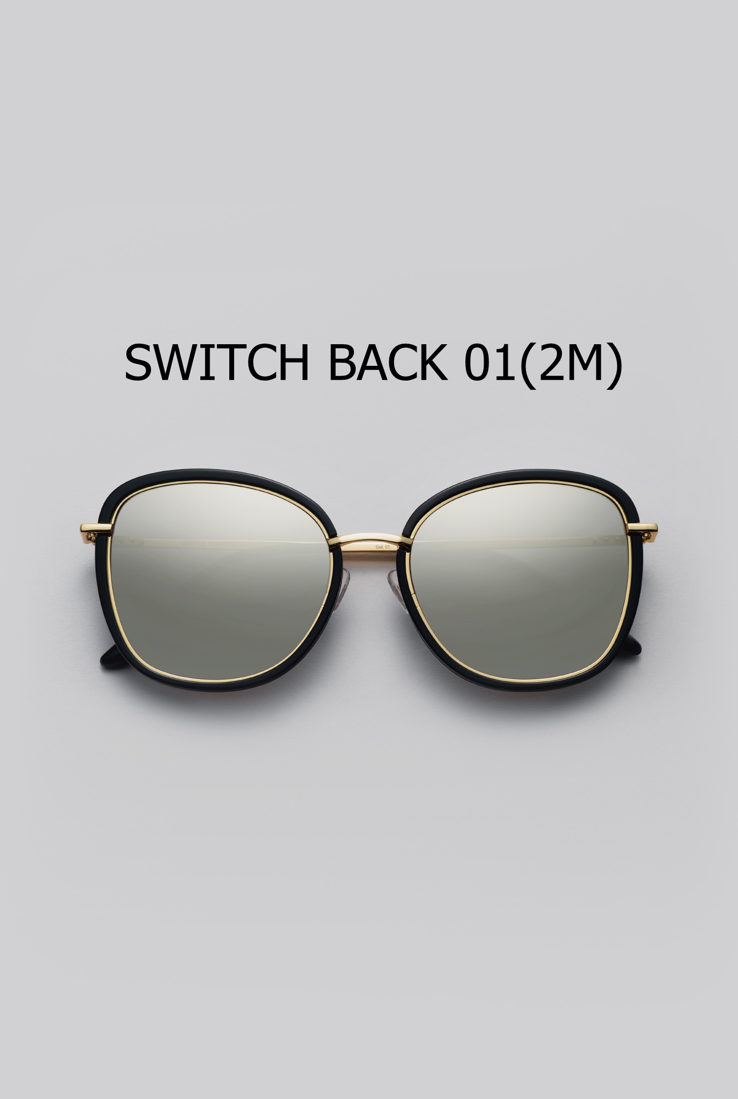 SWITCH BACK 01(2M)