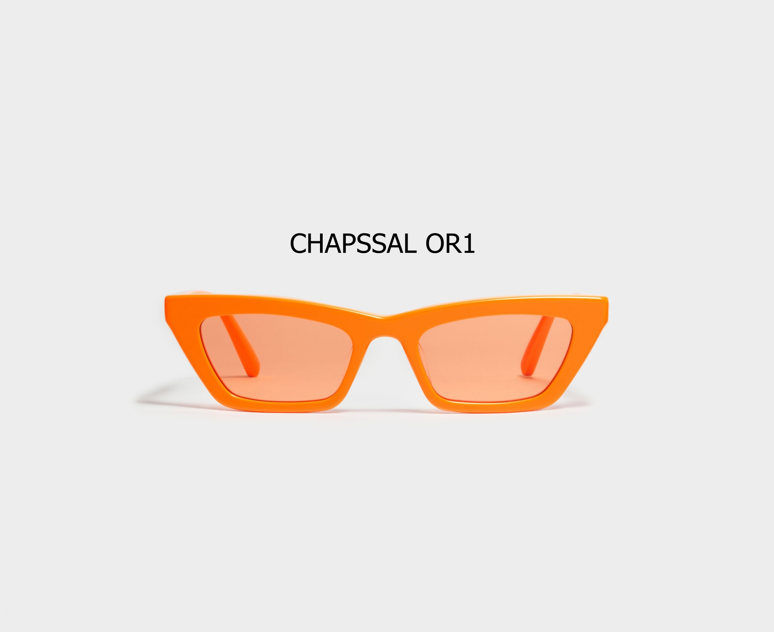 CHAPSSAL_OR1_01