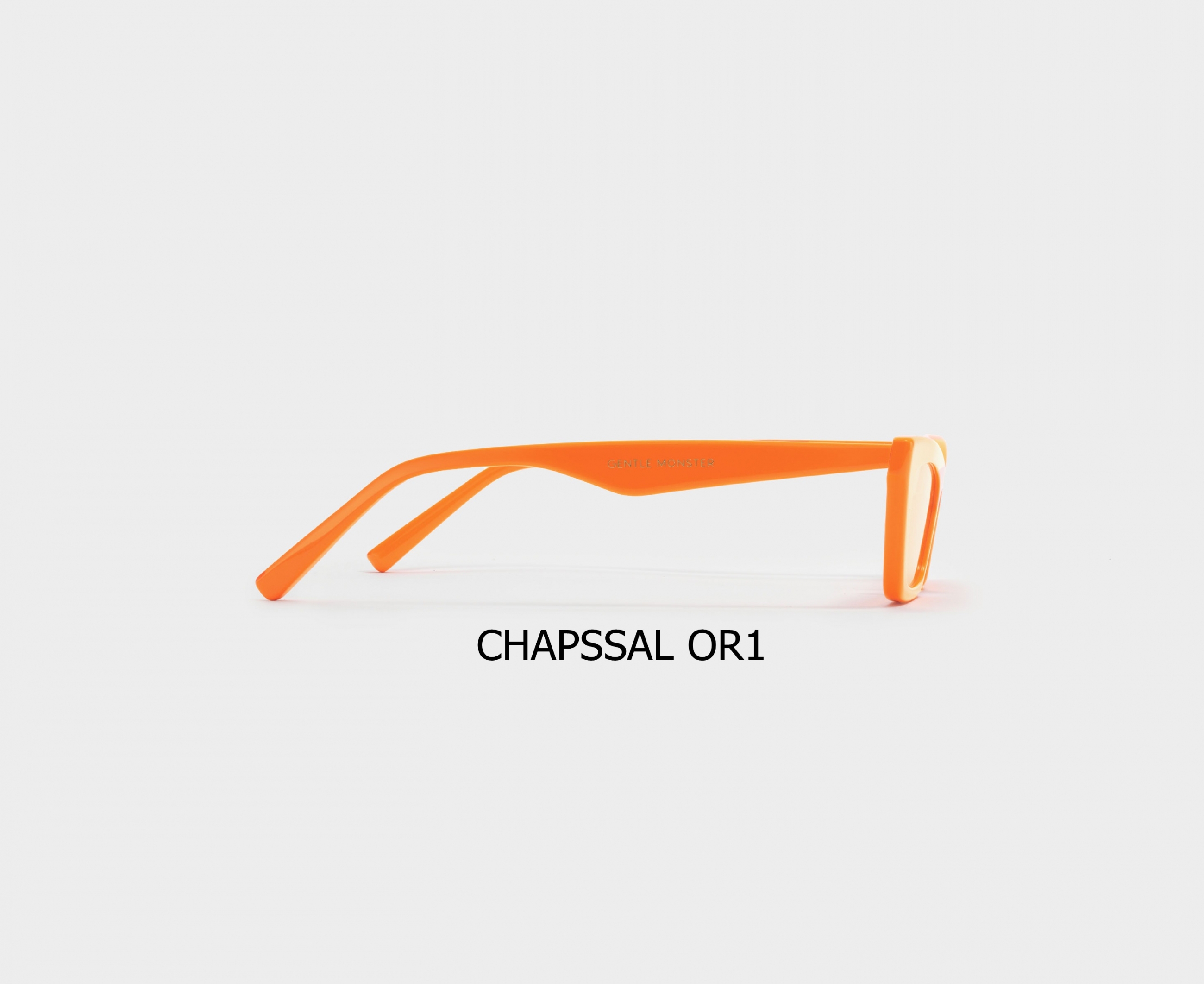 CHAPSSAL_OR1_3
