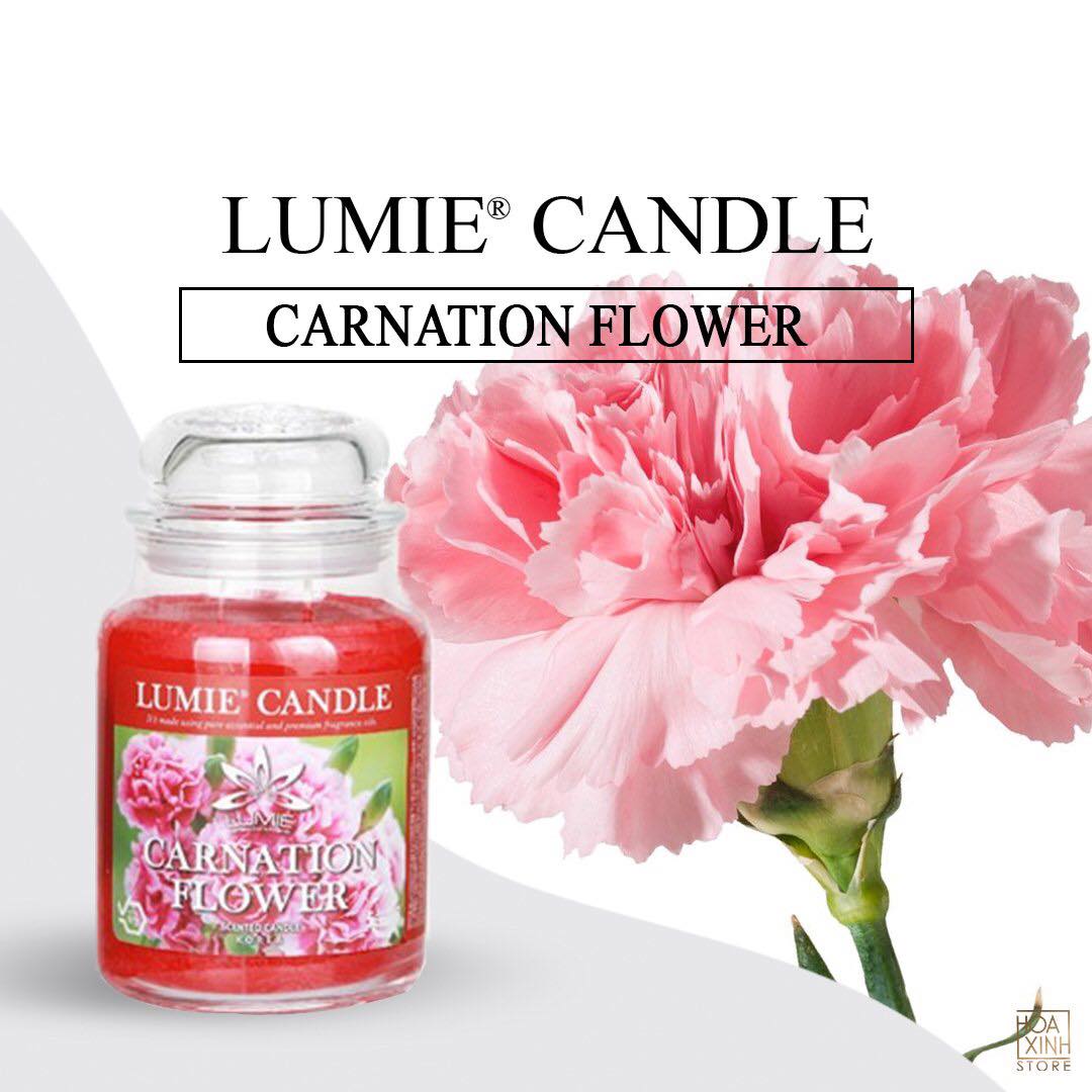 NẾN THƠM CAO CẤP HÀN QUỐC PREMIUM LUMIE LARGE JAR CANDLE - CARNATION FLOWER